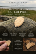Guitar Pick - 1 - Pack of 10