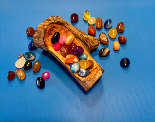 The Coastal Grounding Bowl