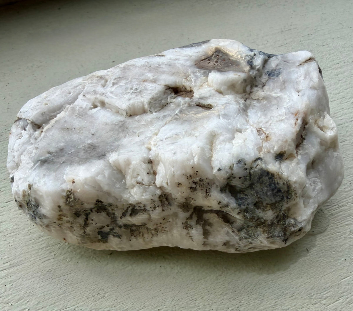 Atlantic Stone Fish - One of One