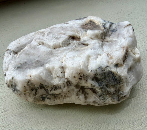 Atlantic Stone Fish - One of One