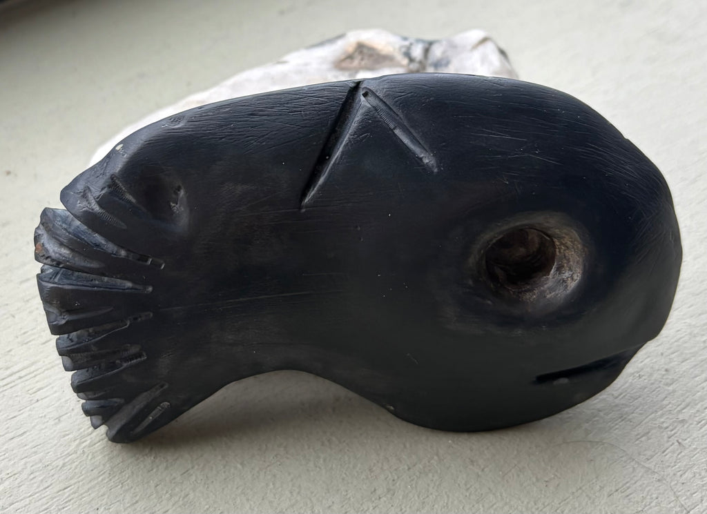 Atlantic Stone Fish - One of One